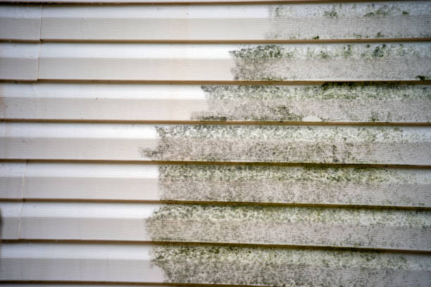 Best Residential Vinyl Siding Installation  in Menomonie, WI