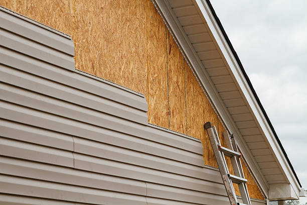 Affordable siding repair and maintenance services in Menomonie, WI